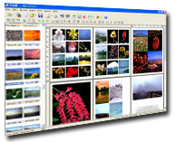 Digital photo printing software